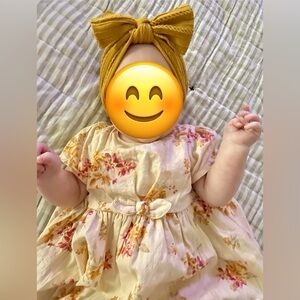 OshKosh B’Gosh 6 month baby girl cream painted floral baby doll dress